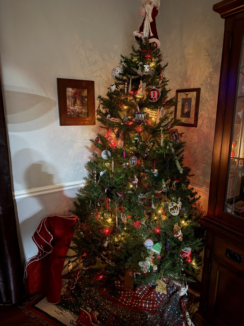 2025/12(December)/Christmas/2025-12-10-Christmas-Tree.JPG