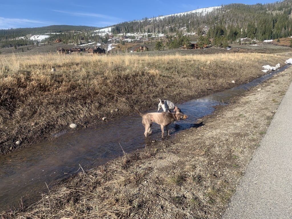 Best-of-Blaze/1024x768_2020-05-03-Colorado-02-Blaze-Hanz.JPG