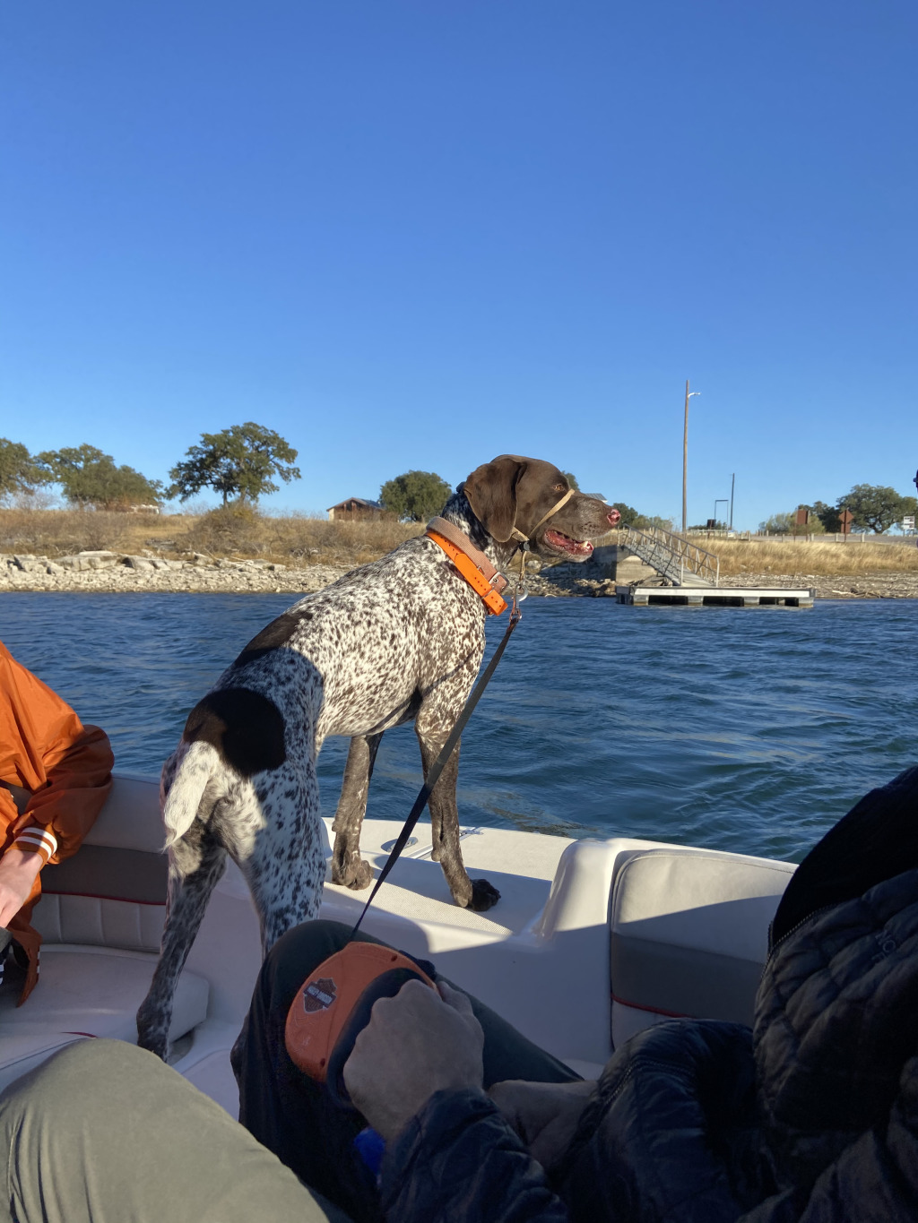 Best-of-Blaze/1024x768_2020-12-19-Canyon-Lake-Camping-17-Blaze.jpg