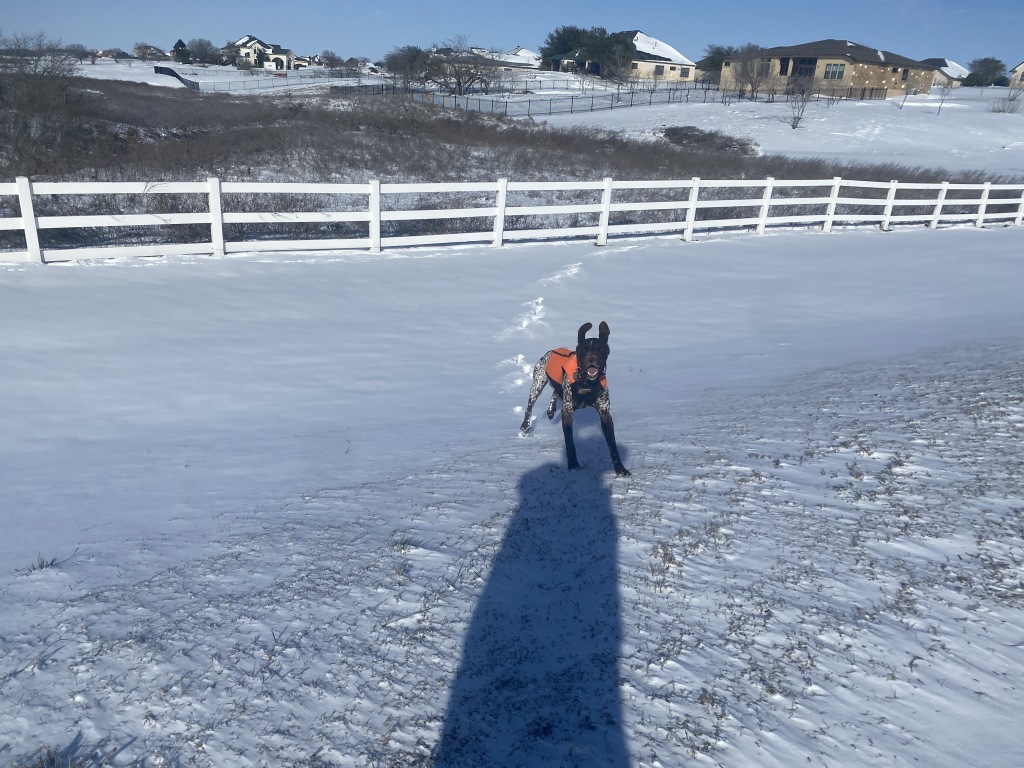 Best-of-Blaze/1024x768_2021-02-15-Texas-Ice-Storm-46-Blaze.JPG