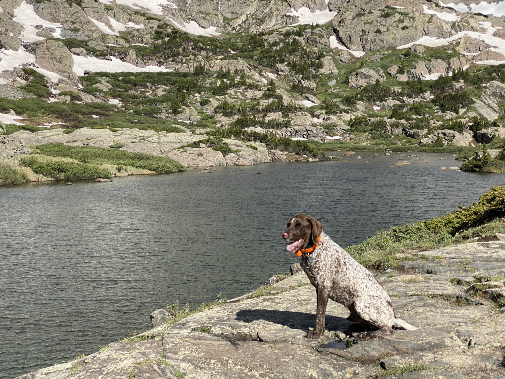 Best-of-Blaze/1024x768_2021-06-25-AdrianaGraf-McCullough-Gultch-Hike-15-Blaze.jpg