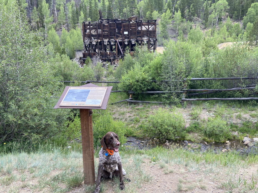 Best-of-Blaze/1024x768_2021-07-17-Colorado-05-Gold-Mine-Hike-Blaze.jpg