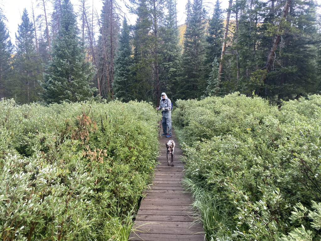Best-of-Blaze/1024x768_2021-07-23-Colorado-Trail-01-Segment6b-Carl-Blaze.jpg