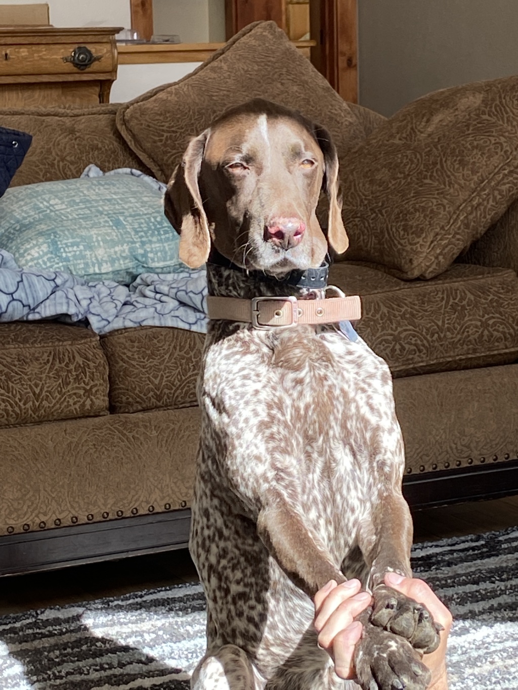 Best-of-Blaze/1024x768_2022-06-04-Blaze-3-GOOD.JPG