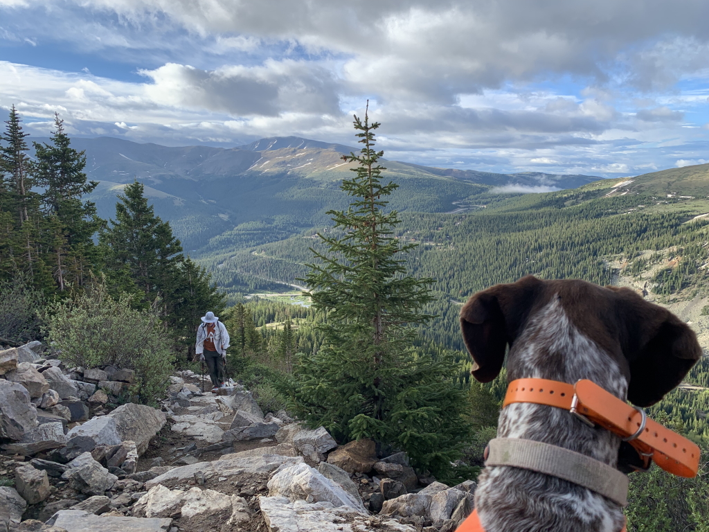 Best-of-Blaze/1024x768_2022-06-19-Quandry-Peak-01-Travis-Blaze.jpg