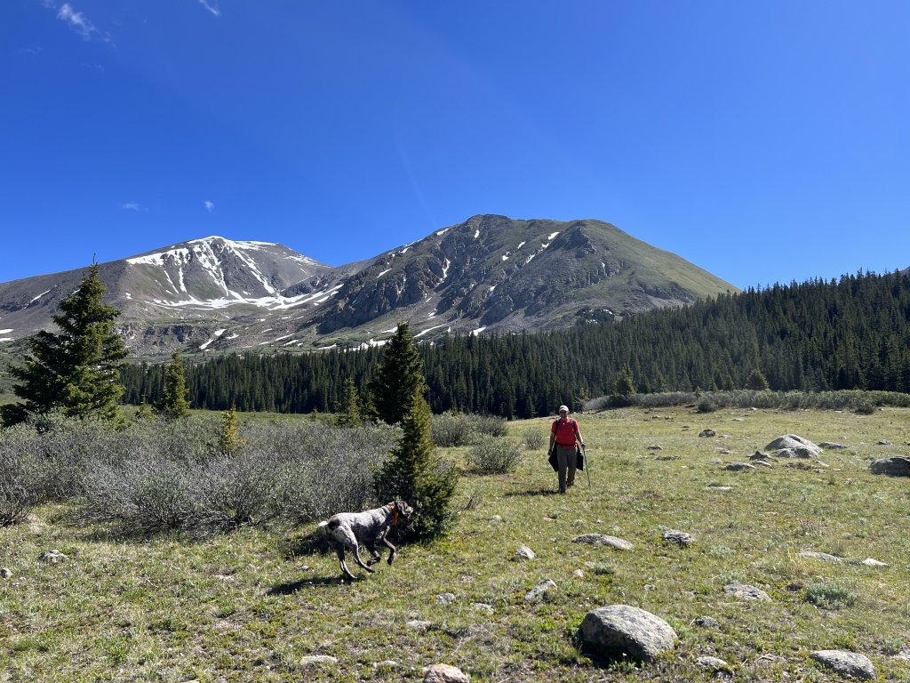 Best-of-Blaze/1024x768_2023-07-01-Colorado-Chihuahua-Gultch-Hike-019-Ren-Blaze.JPG