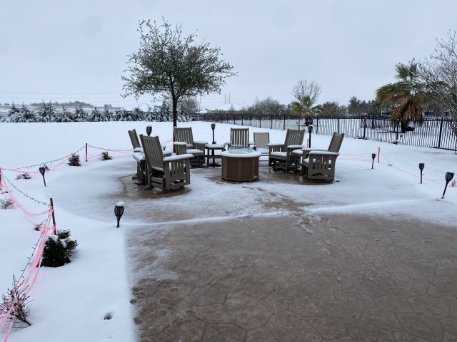 2021-01-10-Hutto-Snow-Brushy-Creek-24-Blaze.JPG