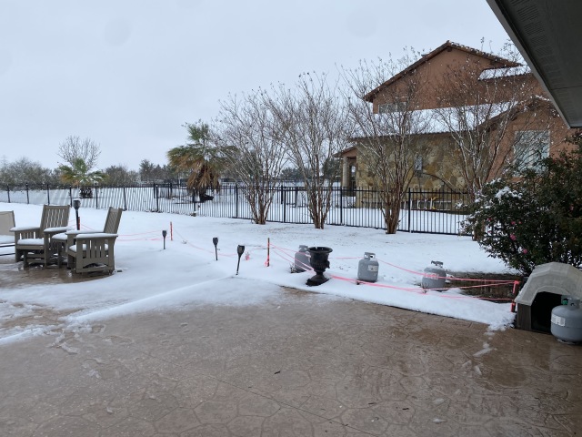 2021-01-10-Hutto-Snow-Brushy-Creek-25-Blaze.JPG