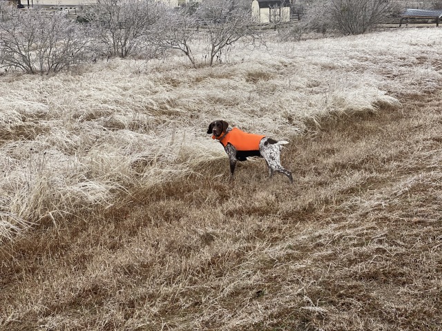 Best-of-Blaze/640x480_2021-02-12-Texas-Ice-Storm-06-Blaze.JPG