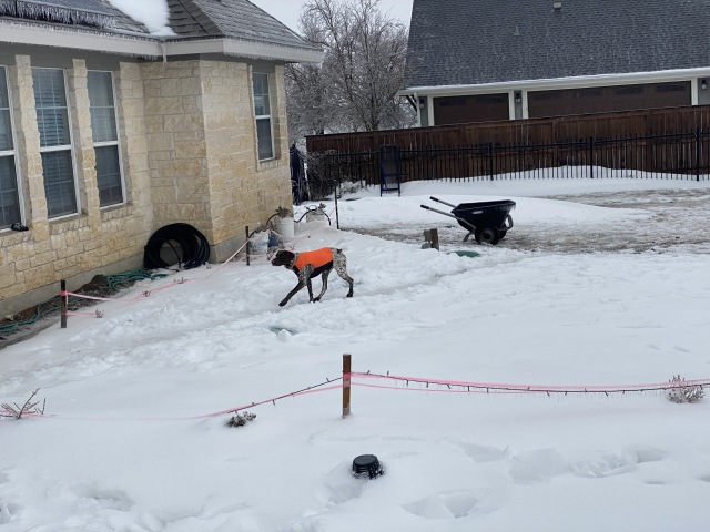 Best-of-Blaze/640x480_2021-02-17-Texas-Ice-Storm-09-Blaze.JPG