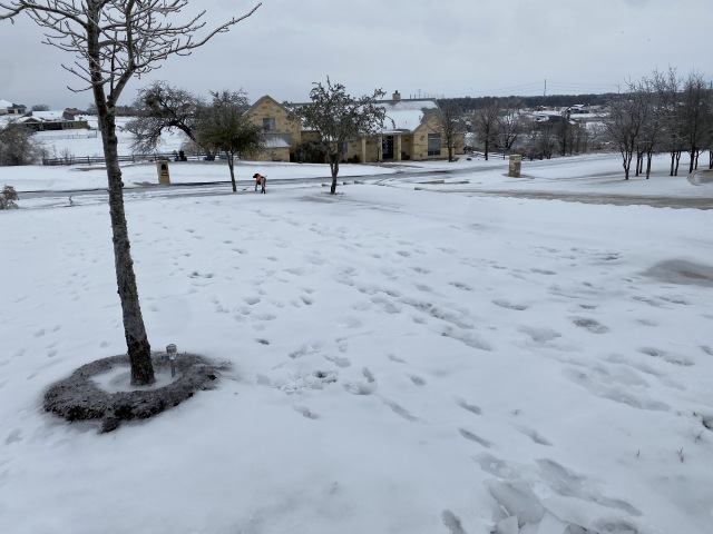 Best-of-Blaze/640x480_2021-02-18-Texas-Ice-Storm-16-Blaze.JPG