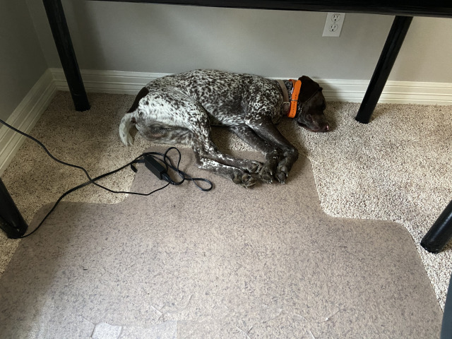 2021-04-15-Blaze1.jpg