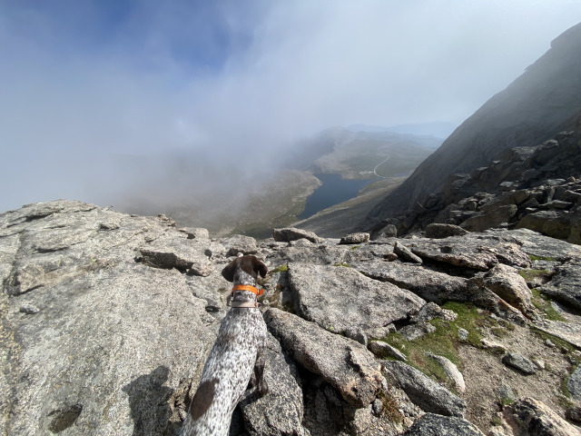 2021-08-21-Mt-Evans-10-Blaze.jpg