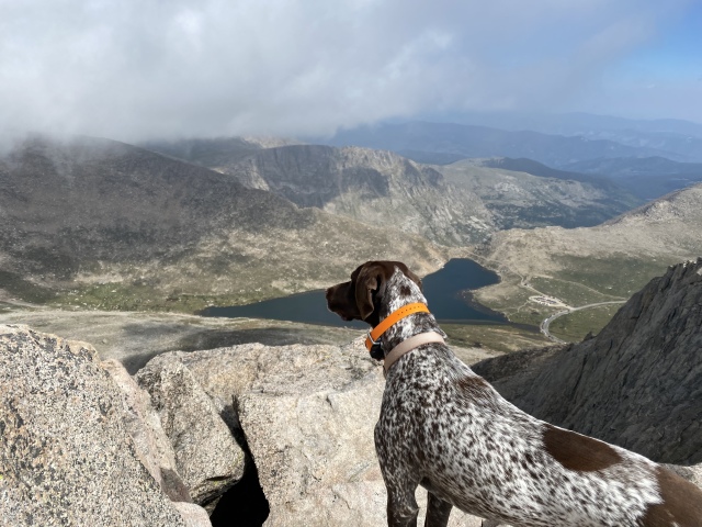 Best-of-Blaze/640x480_2021-08-21-Mt-Evans-22-Blaze.JPG