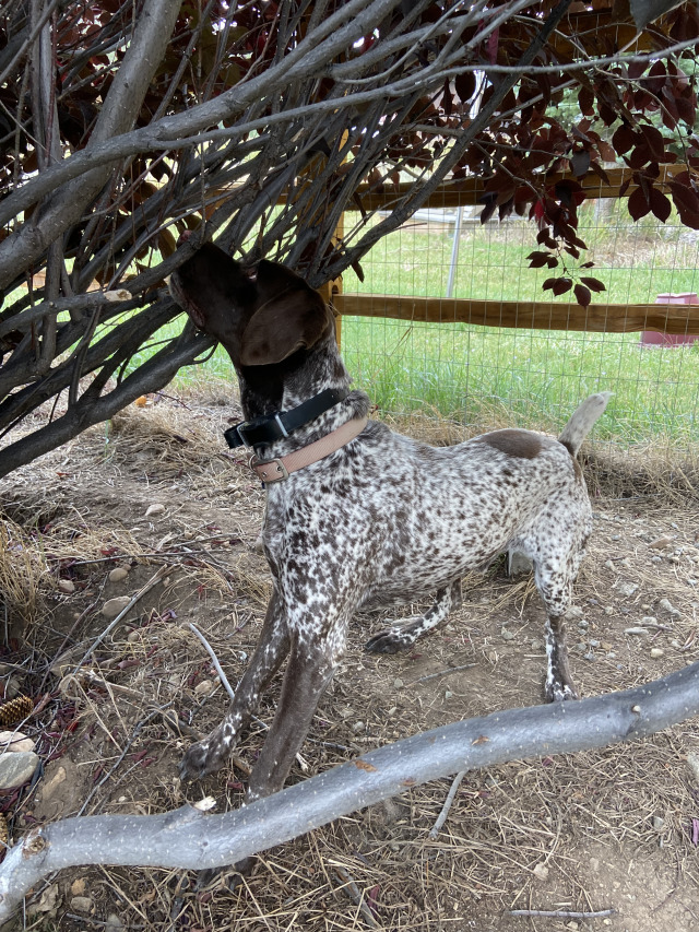 Best-of-Blaze/640x480_2021-08-31-Blaze1-1.jpg
