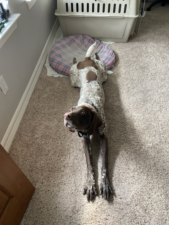 2021-11-10-Blaze1-1.jpg