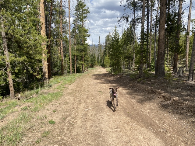 Best-of-Blaze/640x480_2022-06-03-Colorado-02-Blaze.JPG