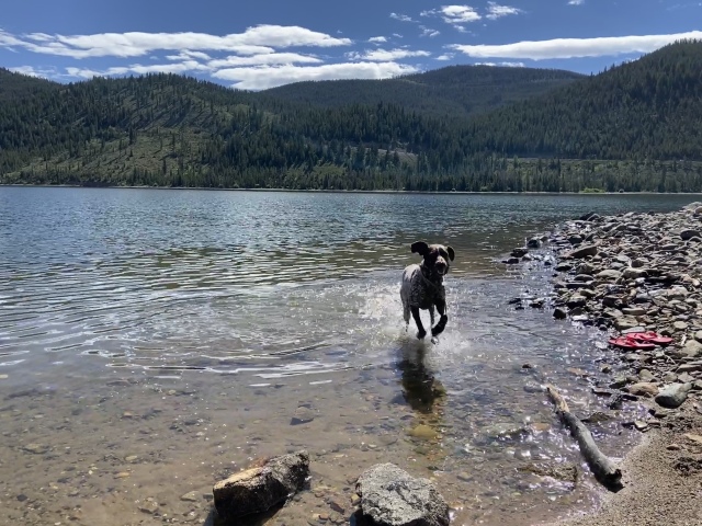 Best-of-Blaze/640x480_2022-07-03-Colorado-SUP-05-Blaze.JPG