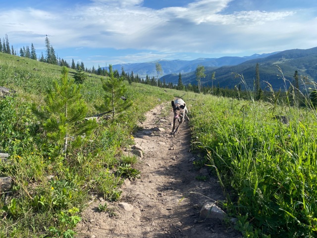 Best-of-Blaze/640x480_2022-07-18-Blaze-77-GOOD.JPEG