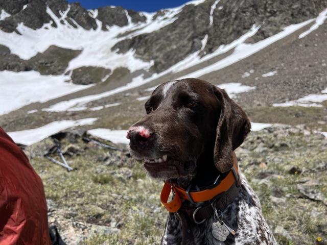2023-07-01-Colorado-Chihuahua-Gultch-Hike-055-Lake-Blaze.JPG