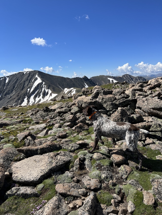 2023-07-15-Hiking-Cupid-Grizzly-35-Blaze.JPG