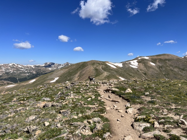 2023-07-15-Hiking-Cupid-Grizzly-38-Blaze.JPG
