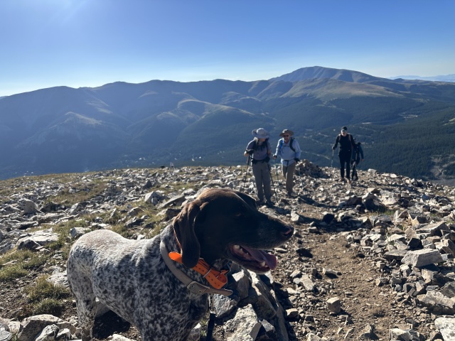 2023-08-19-Quandary-Peak-04-Blaze-Suzi-Ren.JPG