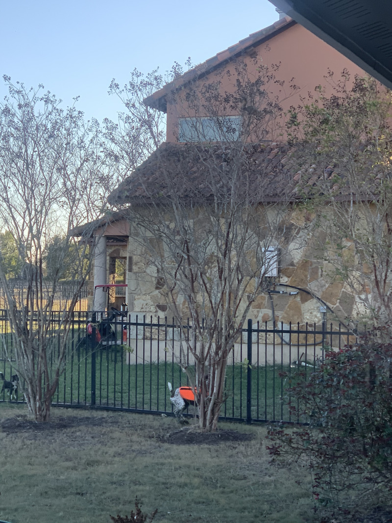 Best-of-Blaze/800x600_2019-10-31-Blaze-vs-Squirrel-1.JPG
