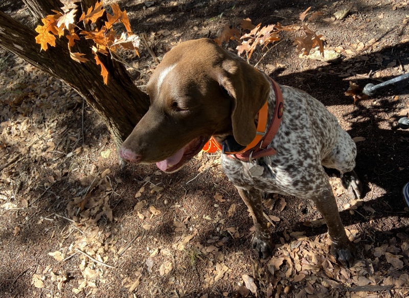 2020-01-18-Crew-8787-Lost-Maples-Camping-07-Blaze.JPG