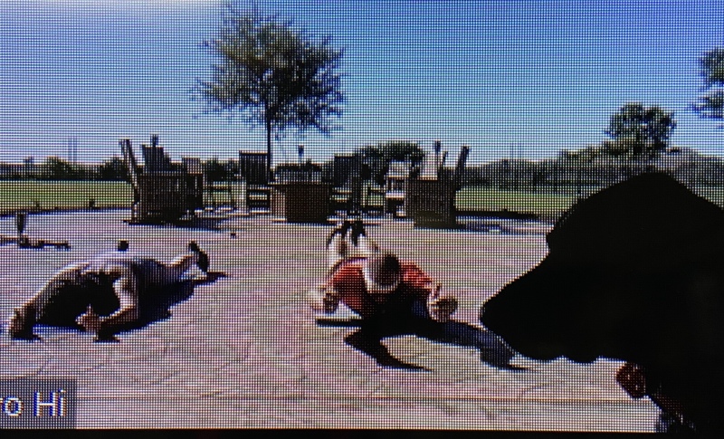 Best-of-Blaze/800x600_2020-05-01-workout-Blaze-helping-2.JPG