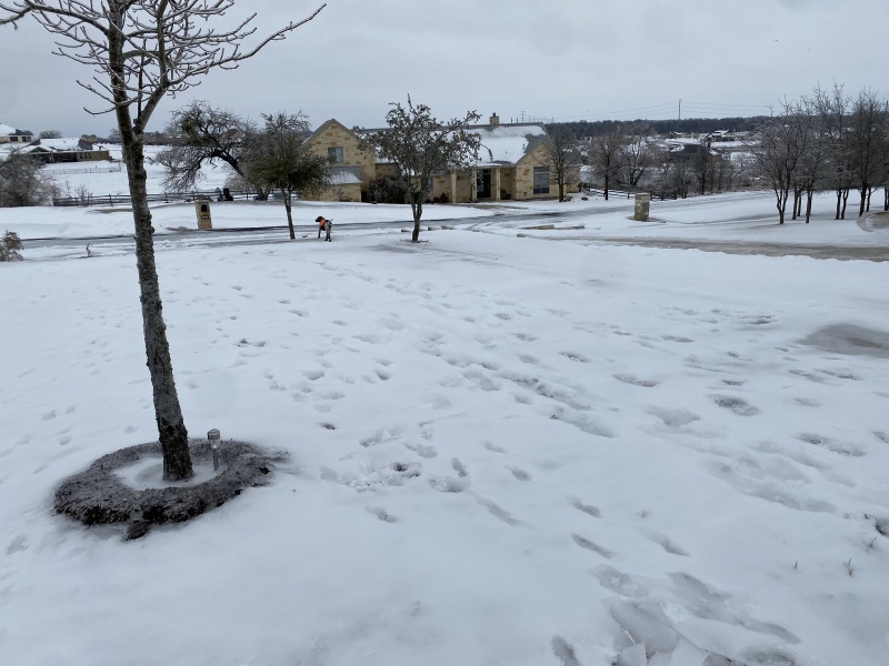 Best-of-Blaze/800x600_2021-02-18-Texas-Ice-Storm-16-Blaze.JPG