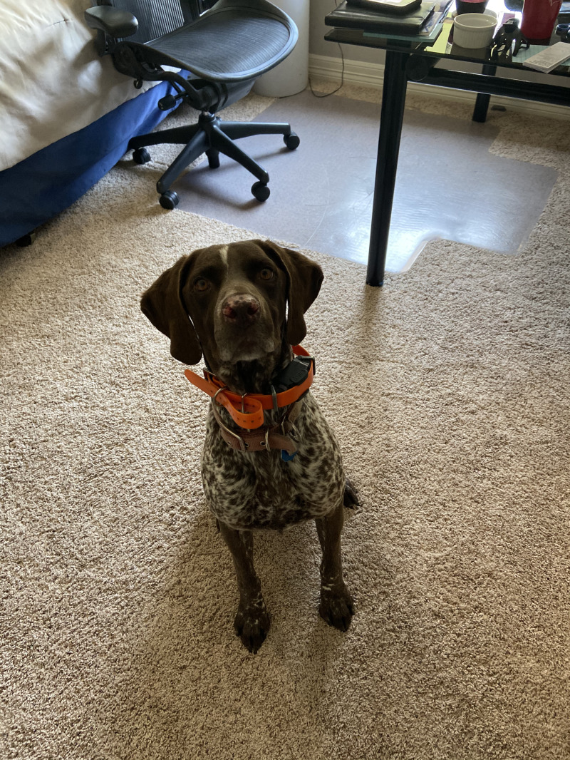 Best-of-Blaze/800x600_2021-04-21-Blaze-3.jpg