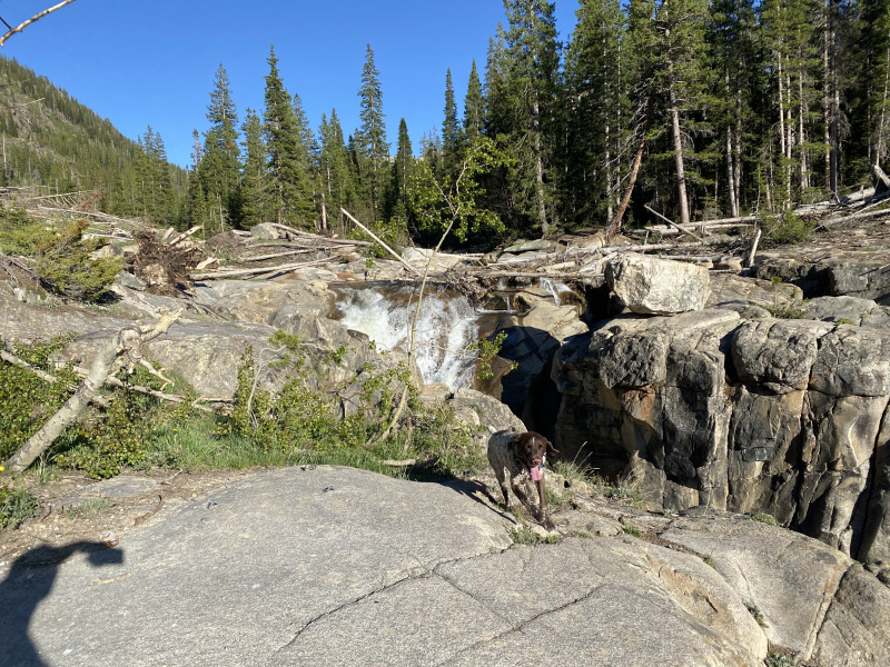 2021-06-11-Aspen-33-Lincoln-Gultch-Primitive-Camping-Blaze.jpg