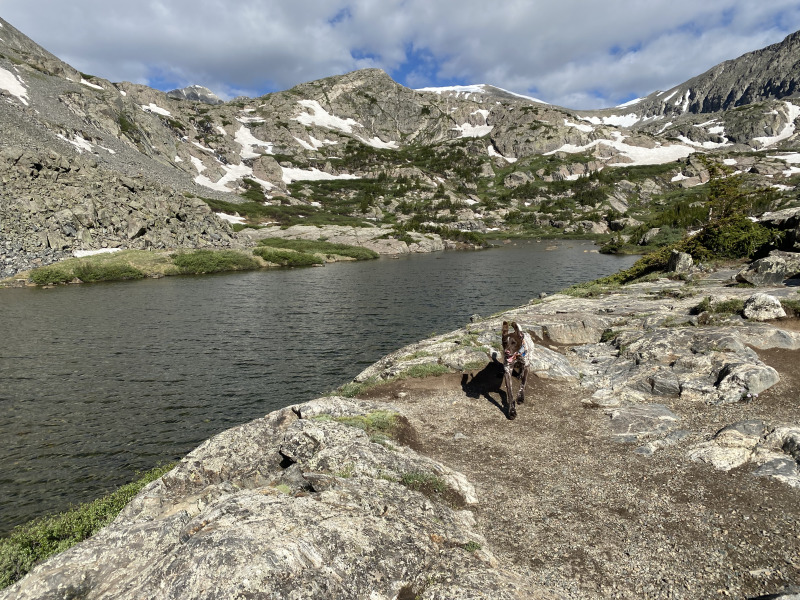 2021-06-25-AdrianaGraf-McCullough-Gultch-Hike-12-Blaze.jpg