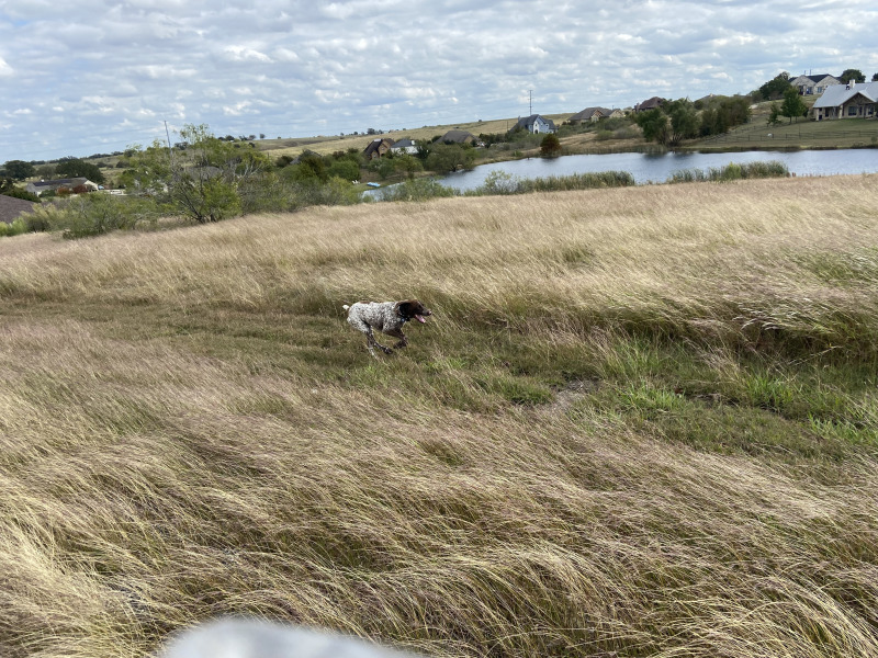 2021-11-10-Blaze1-2.jpg