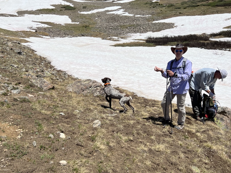 2023-07-01-Colorado-Chihuahua-Gultch-Hike-034-Blaze-Ben-Travis.JPG