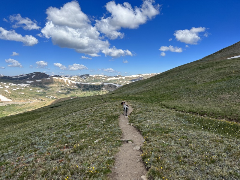 2023-07-15-Hiking-Cupid-Grizzly-44-Blaze.JPG