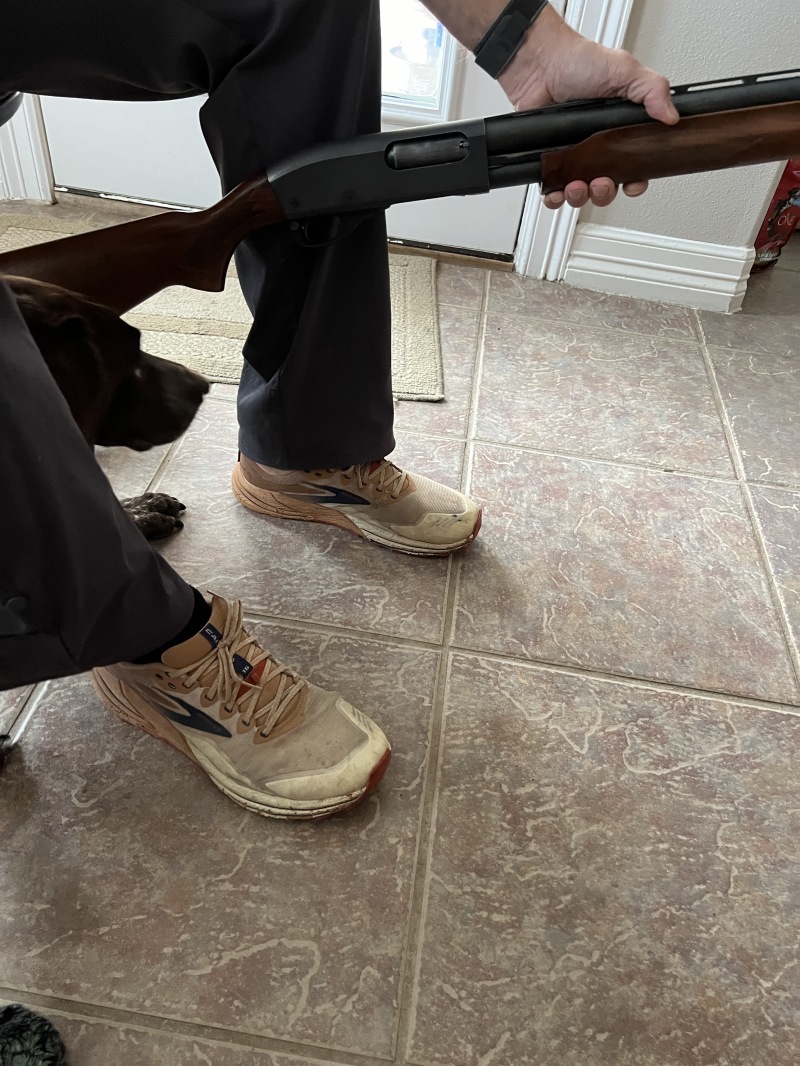 2023-11-12-SD-Pheasant-Hunting-69-cleaning-shotgun-Blaze.JPG