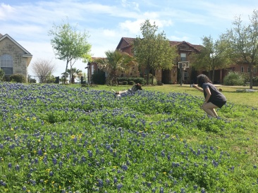 2019-03-28-Bluebonnets-Blaze-07.JPG