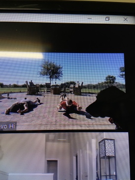 2020-05-01-workout-Blaze-helping-1.JPEG