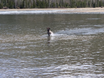 2020-05-04-Colorado-03-Blaze.JPG
