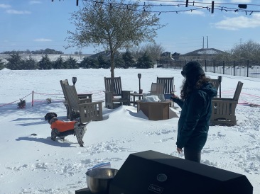 2021-02-15-Texas-Ice-Storm-17-Blaze-Suzi.JPG