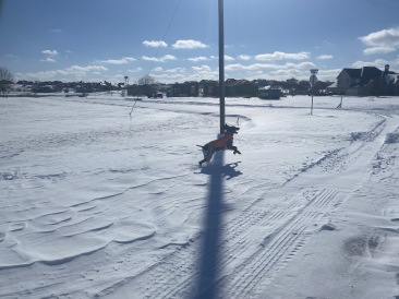 2021-02-15-Texas-Ice-Storm-23-Blaze.JPG