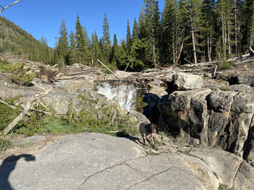 2021-06-11-Aspen-33-Lincoln-Gultch-Primitive-Camping-Blaze.jpg