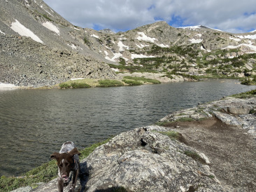 2021-06-25-AdrianaGraf-McCullough-Gultch-Hike-11-Blaze.jpg