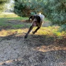 2021-11-21-Blaze-5.JPG