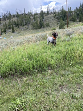 2022-08-22-Blaze-02.JPG