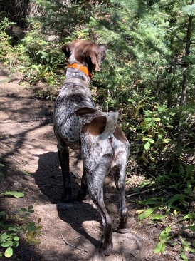 2022-09-06-Blaze-4.JPG