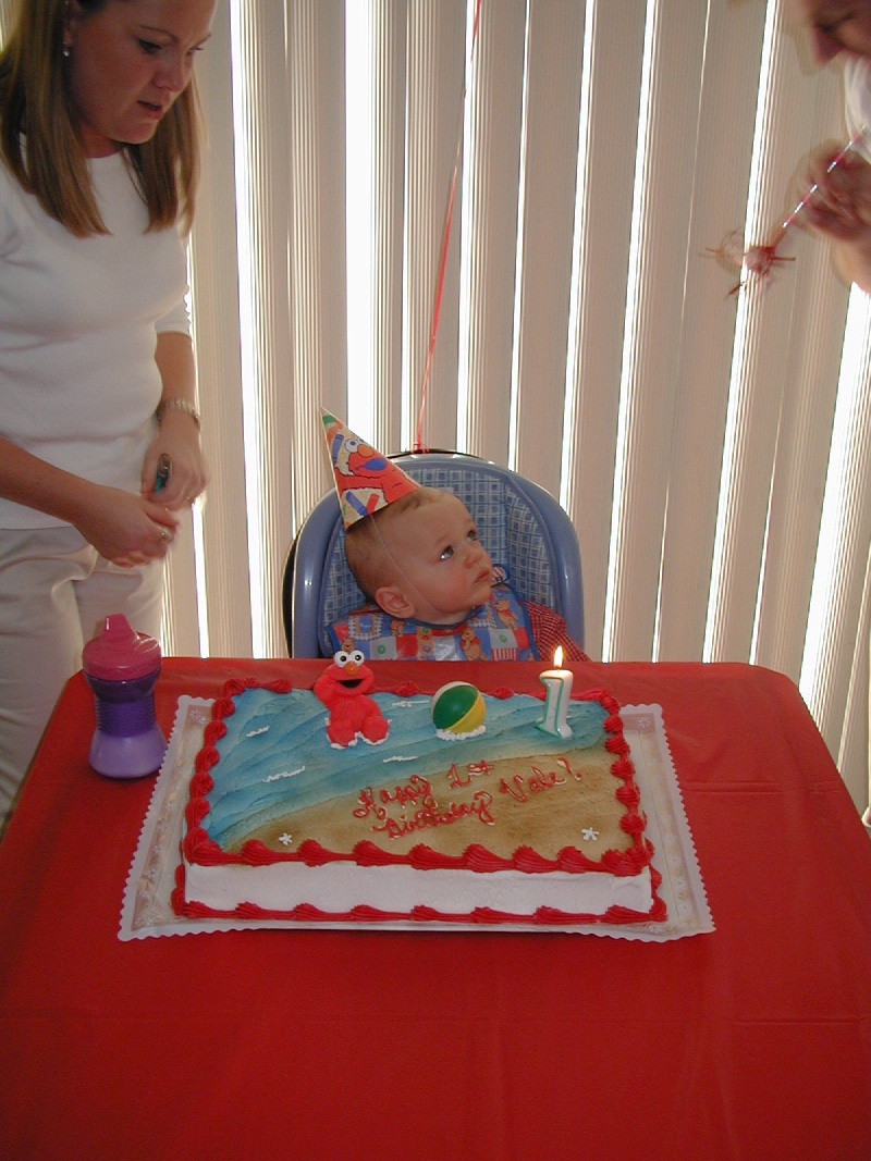 Best-of-Katie/800x600_2001-03-04-Vale-1st-Bday-10-Vale-Katie-cake.jpg