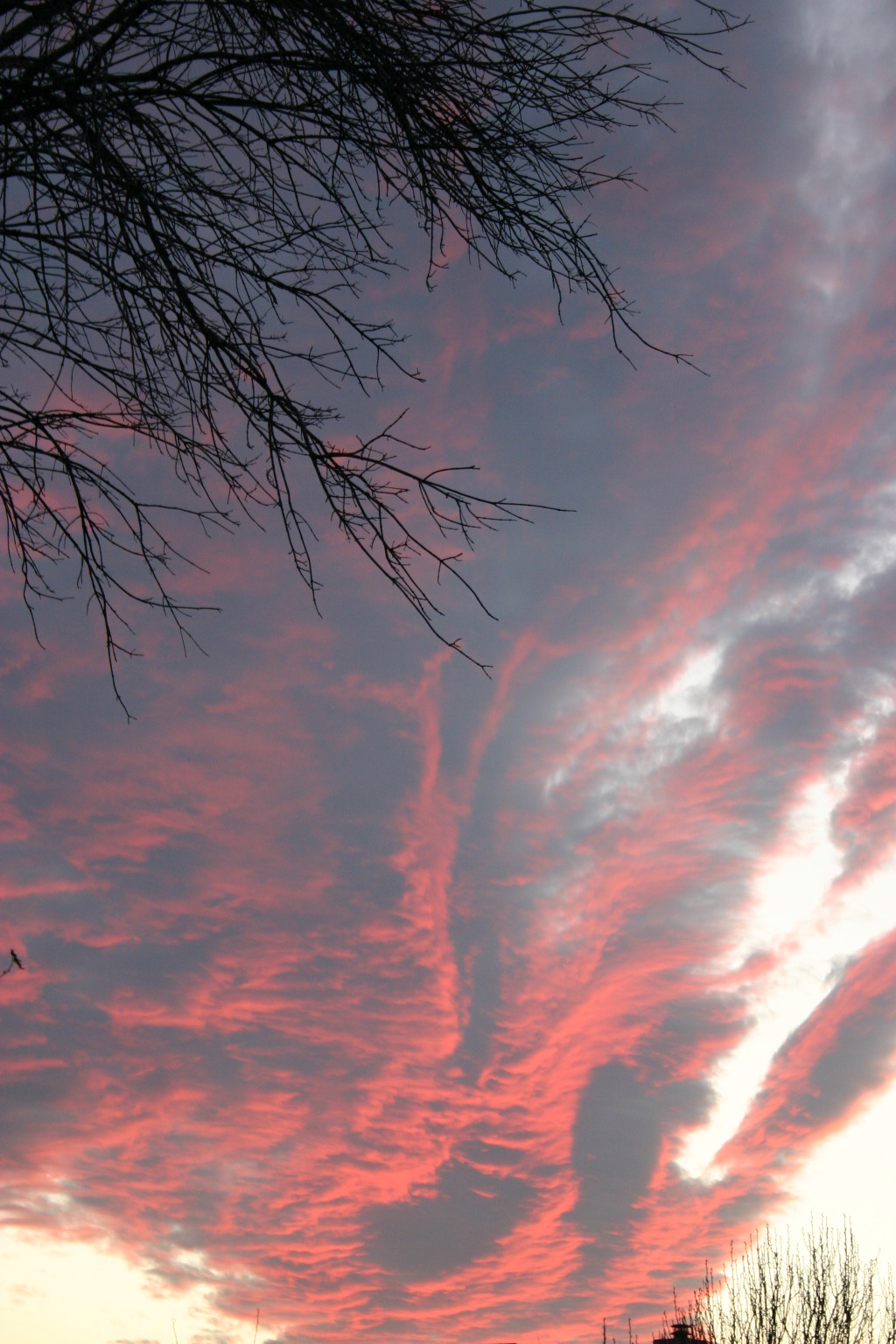 2006-01-01-landscape-3.JPG